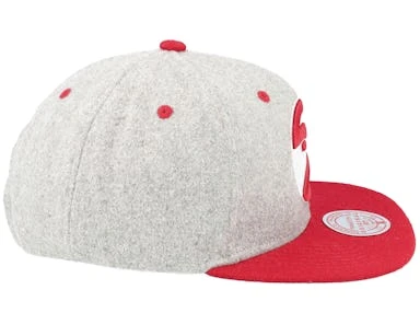 Atlanta Hawks Melton Patch Grey/Red Snapback - Mitchell & Ness â Image 4