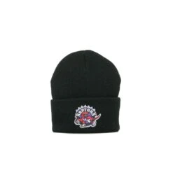 Mitchell & Ness Bonnet Toronto Raptors Team Logo